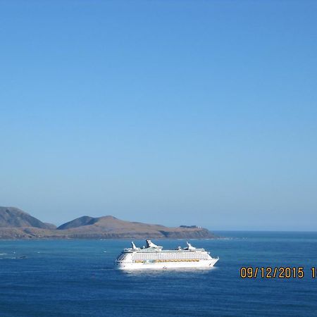 Pacific View Bed And Breakfast Wellington Exterior foto